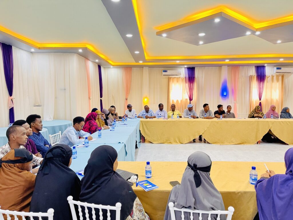 3 Days Training for Media Professionals and Journalists to Strengthen Reporting on Child Rights Violations, Report the situation of child rights and governance in Somalia.
